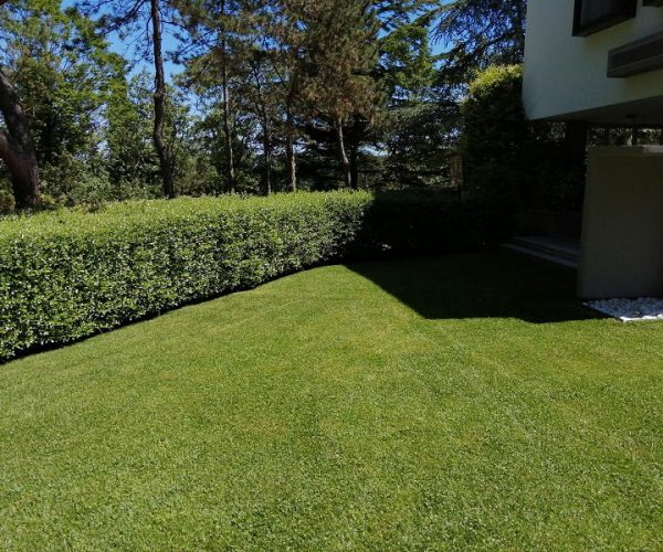 manutenzione giardino