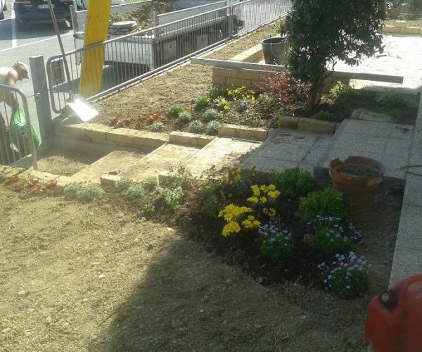 scalinata su terra 2